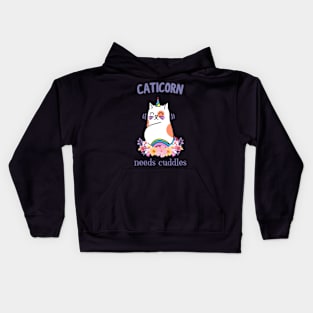 Caticorn Needs Cuddles Cute Unicorn Cat Fun Kids Hoodie